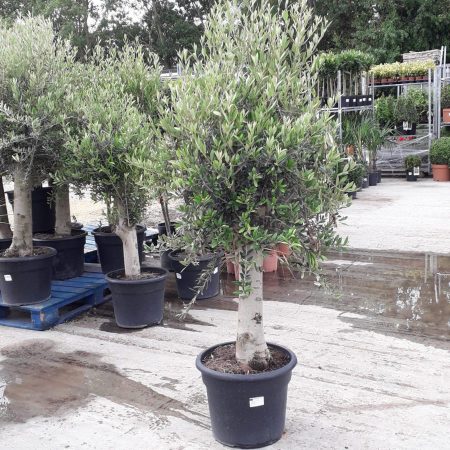 87476768-4d1f-447a-85e7-44c349929c99