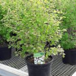 90118c50-1a21-4bed-9f23-c14843f17713