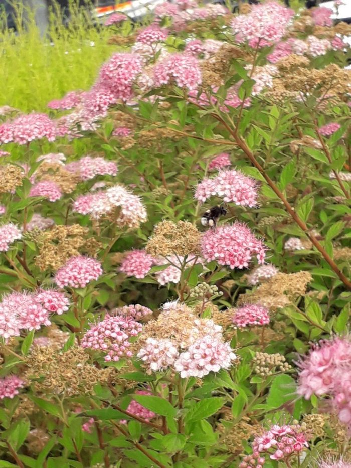 2b9b73d3-4bf3-42f4-83cb-d681f14a282d