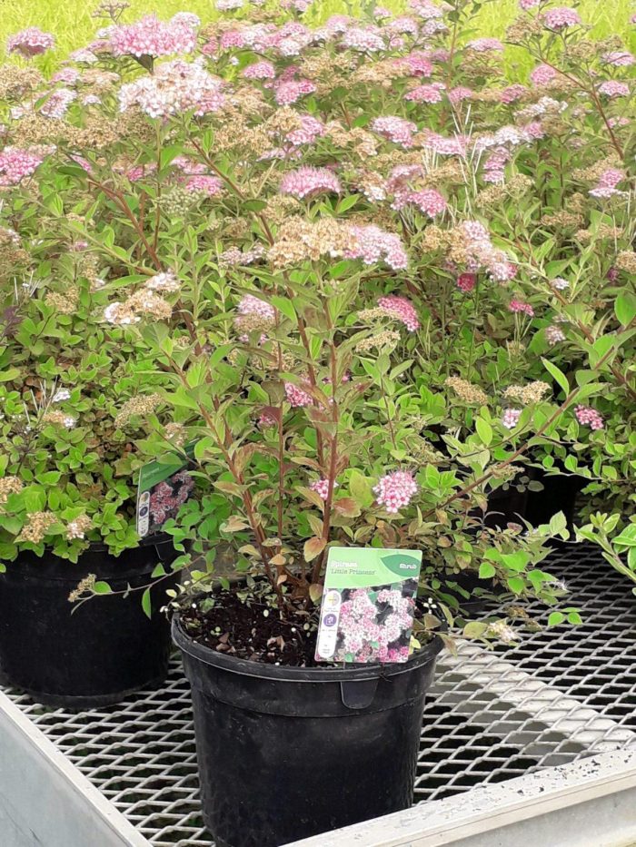 57fa4d0a-7eba-484e-a1f7-91c2e9c2386e