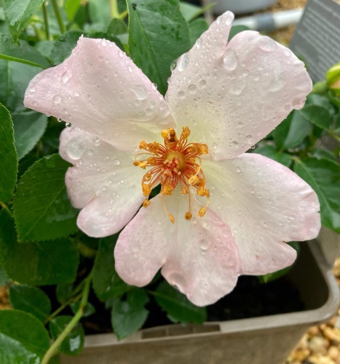 a5ed3b0f-61df-47d6-95db-ea37bf4d90bc