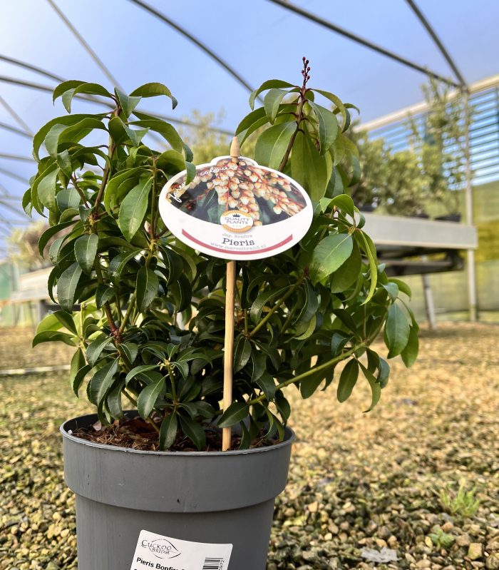 2120da44eff98f4e68c7150092fac101.jpg 187ee0e6-57d2-4f1d-b34a-516b9a1ce11f