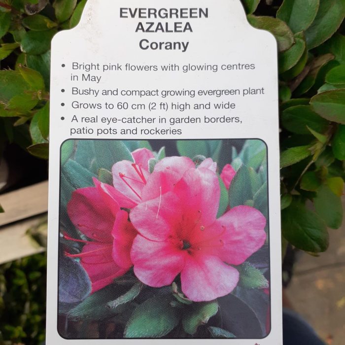 21446a14-660b-42b7-8f9d-d03594c7ade1.jpg 03f0f0c2-0079-4736-a6bd-e943d2aae832