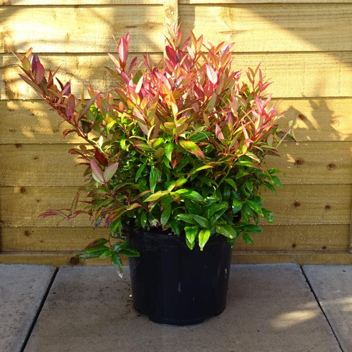 a85c3006-4d7a-4d87-8f17-49b210660449