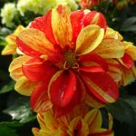 e7159bd6-2f62-4bc1-8751-7f8d18907506