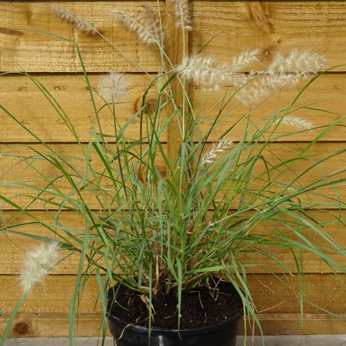 5d9a623e-a575-4d05-8aaf-47d55e223bfd