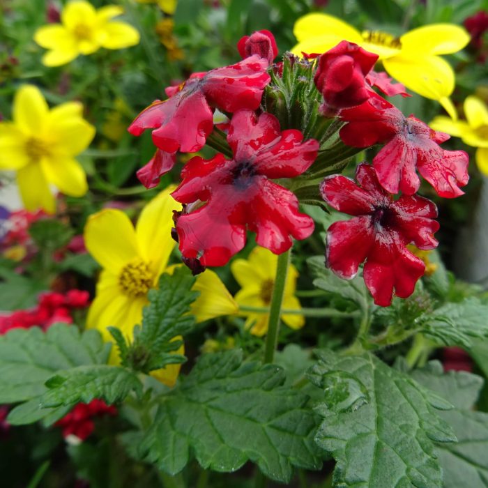 4fb2fe9a-0c0e-4d71-ae53-6139c65b2d89