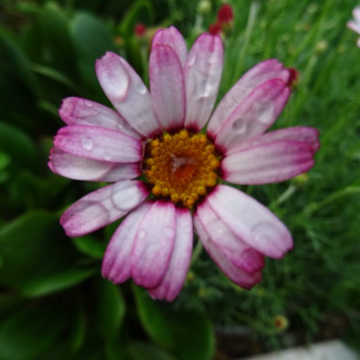 b32e0675-7ca4-4d47-af2a-4c2e8ed8fcf1