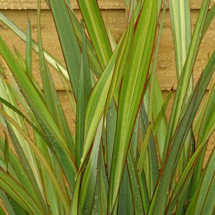 609c02d2-c673-4136-8799-41113e4f4de7