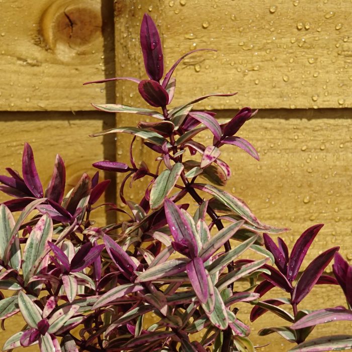 90c8e233-550a-4e09-a437-b68dc001660c