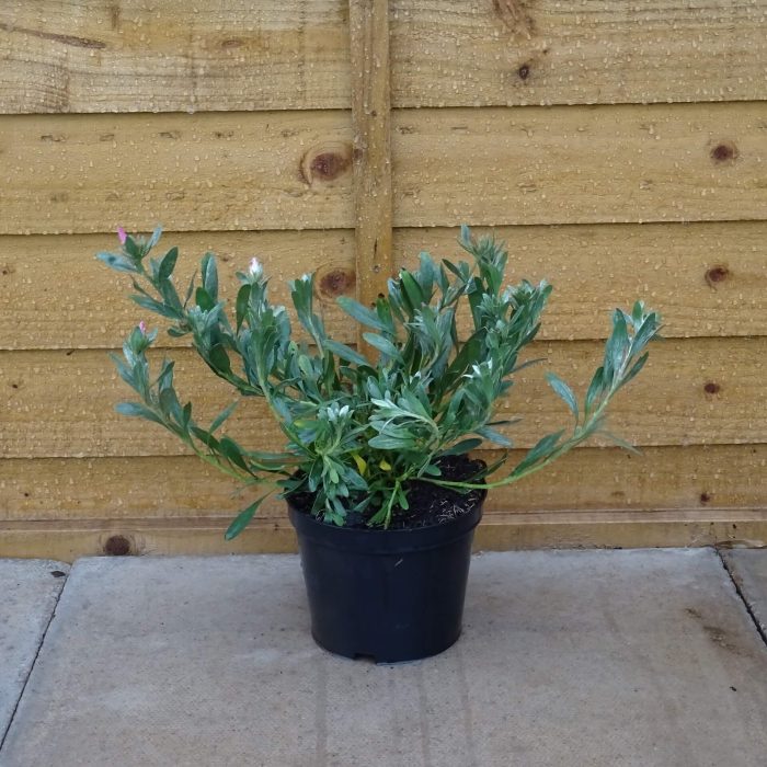 7cf792e6-2f5e-481b-99bb-5c1fcf88aaaf