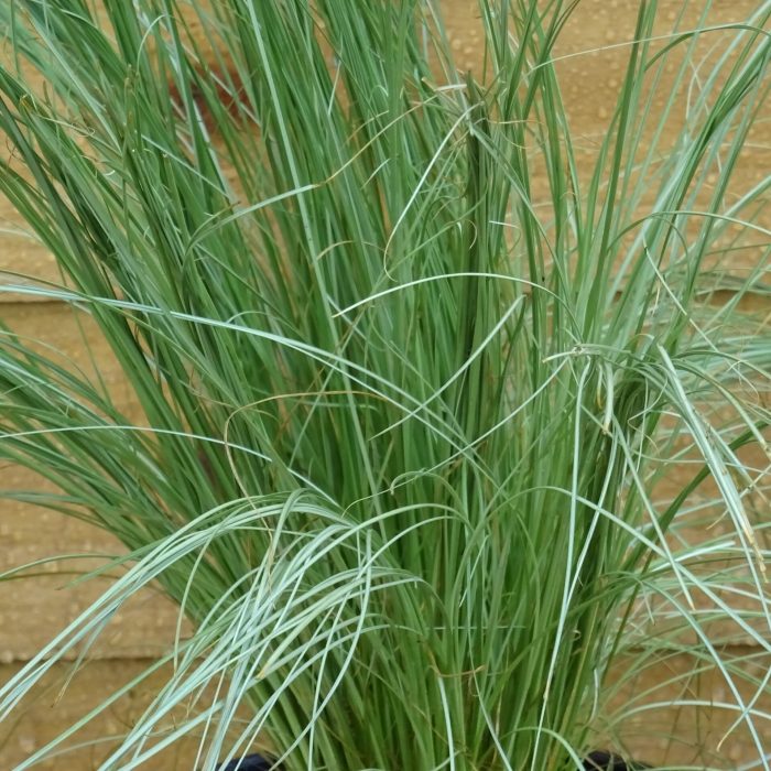 25117a869fd79a1367438ae2daa7560f.jpg dc9385eb-133e-4c7e-91a1-39794310594d