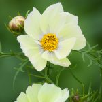 69041fe8-43cf-4434-8b7b-7120476d181a