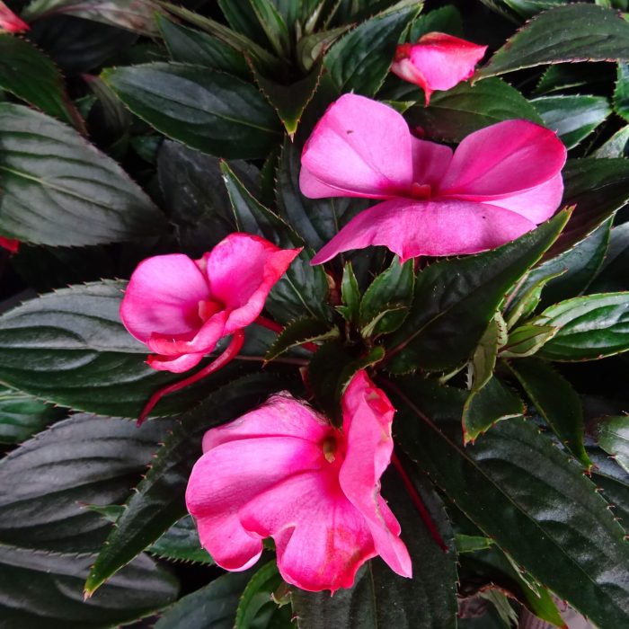 25ddfcd5eba6cad2bb2e99860b4e383f.jpg 6317ce07-a0f2-4d98-9ffd-79737d6da69d