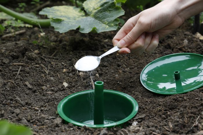 ef0866d4-c276-48ef-8b40-f51b137896f9