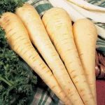 f59cab38-74e0-498d-aeb7-88c84db14bdf