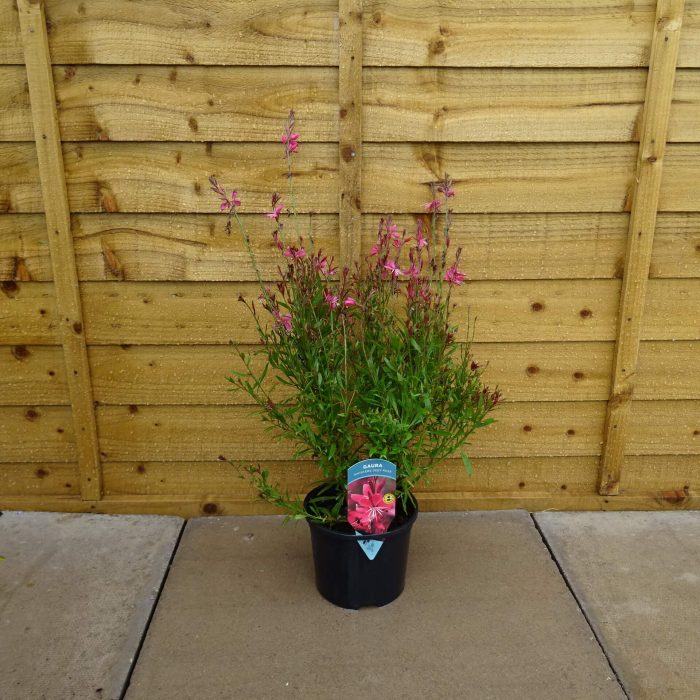 816581c8-61e2-4c76-a0a0-a687c2b11a3d