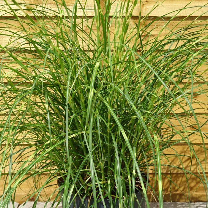 9a35faa6-fb87-401b-8cd9-73be9ef036bf