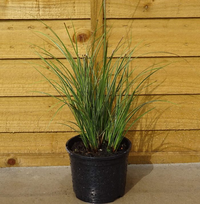 cd7a6409-6246-4f7b-87bf-32483a0eb387