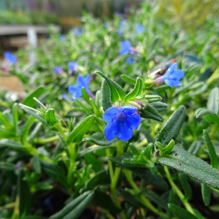 26fef381f759f8e6e9347ec2a5acfd24.jpg bdb86404-3aa4-431b-8447-67db01c213c0