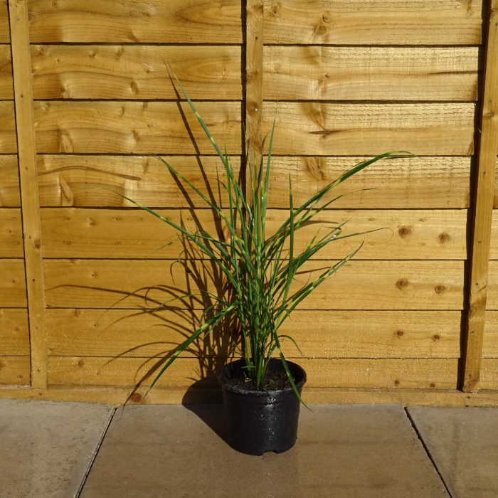 ee185aec-349d-4608-a4f1-c8ff9feeab08