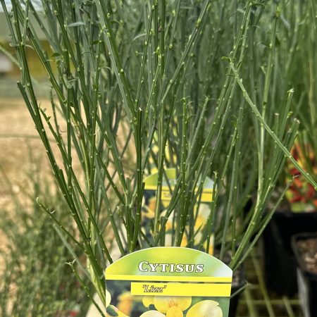 05b7bc0f-da69-4617-b300-91141c8b24d0