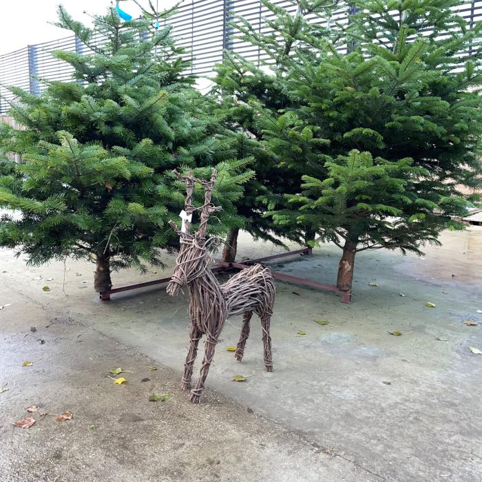 e47b9bbc-2687-4f80-ab6b-efec0bceca48