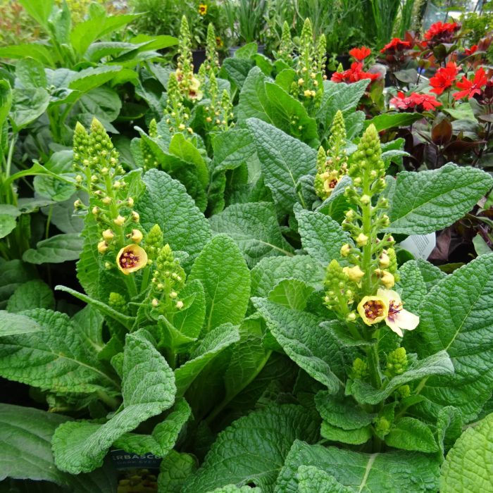 5d990af2-ec75-4f63-8871-776801e09c74