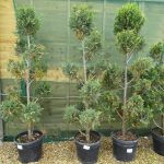 bb93d377-8843-452e-a3c4-4e505d09bdbe