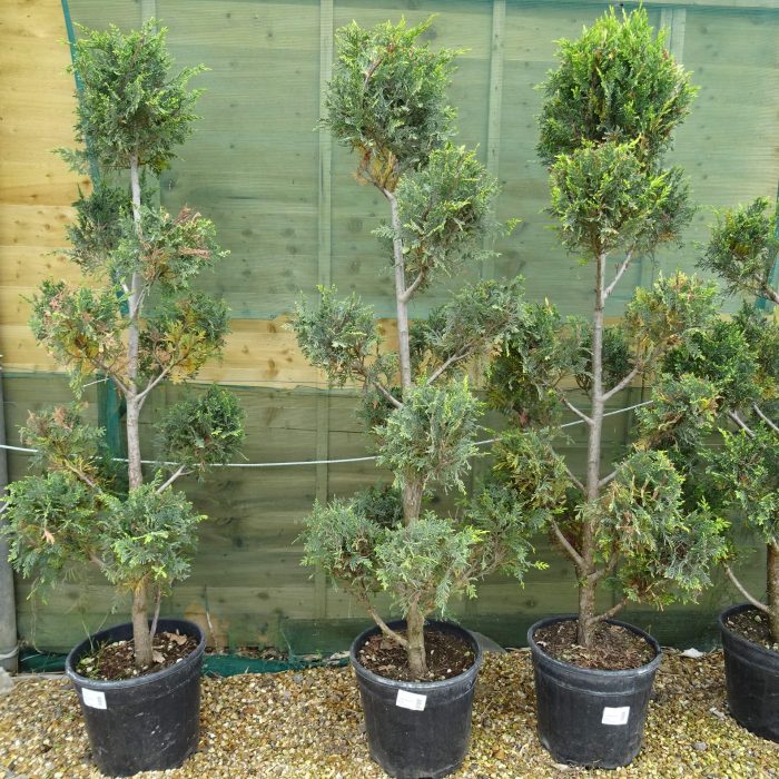 bb93d377-8843-452e-a3c4-4e505d09bdbe