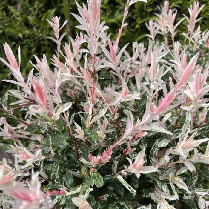 7d108dee-d7c8-4a43-ad2d-5a87ce718a51