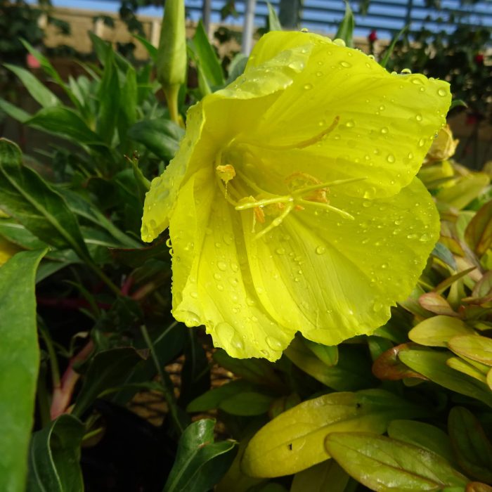 ce4566d9-52ae-4c33-8ede-0e53dc0ec337