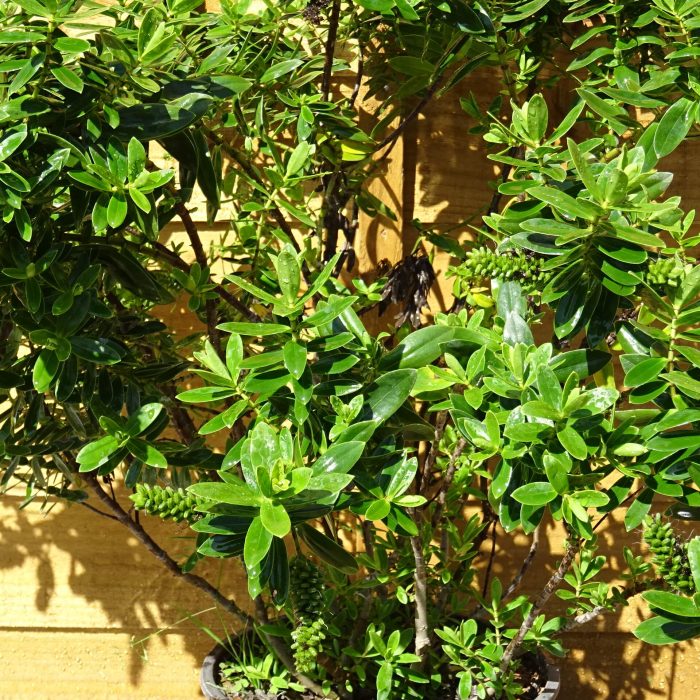 8a6ae84c-83bc-47d7-a479-2065439aac80