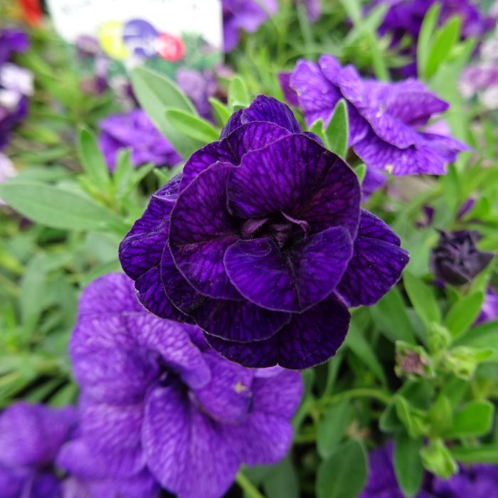 c8bd9558-a21f-426b-8d4d-adfa8314815b