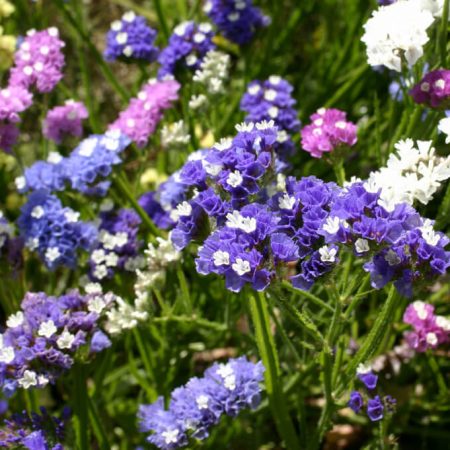 d9a8026d-0701-403a-8835-88cdb770f36e