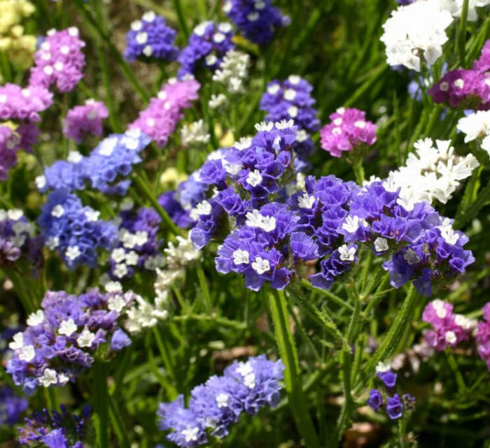 296b72eec46d56503db762aa5be6f280.jpg d9a8026d-0701-403a-8835-88cdb770f36e