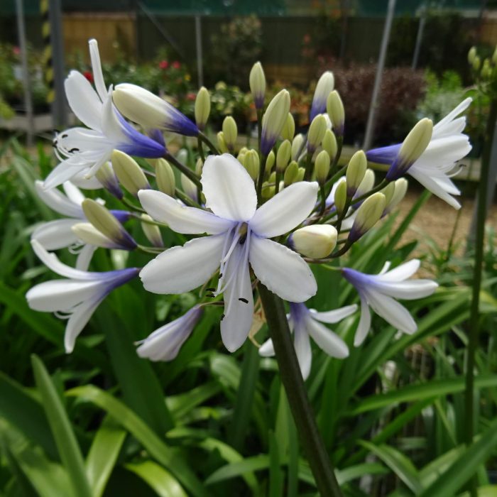 8282b994-c787-4b04-a4be-3ac6cba049c4