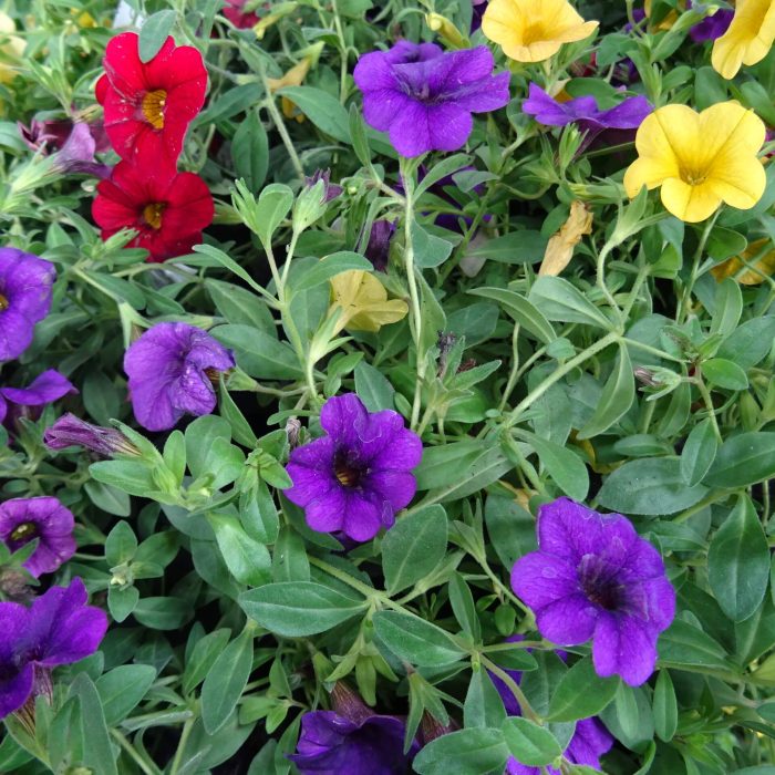 b873d755-57f4-4dba-8f4e-3523a2d121cc