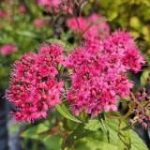 727c3acd-87bc-484c-8e95-c969ae055613