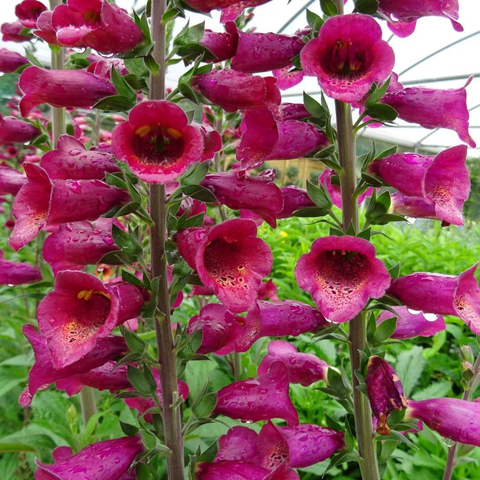 2ab0c5dc-45cf-49d4-b889-fe1ade488c86