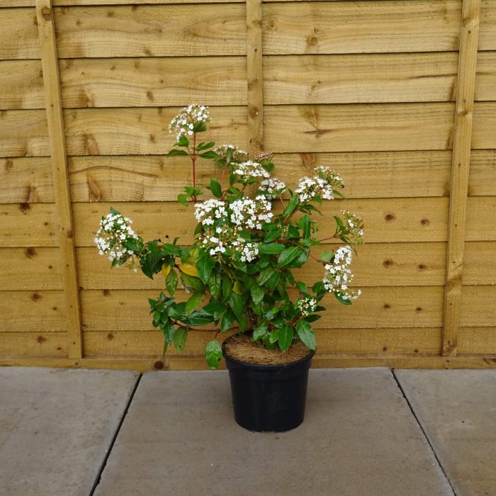 bf2fa47f-0c48-4bdc-a8e1-0255e7a9e37f