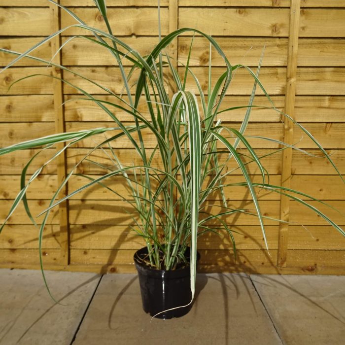 8dd96644-f357-40dd-8933-bc784408ebf0