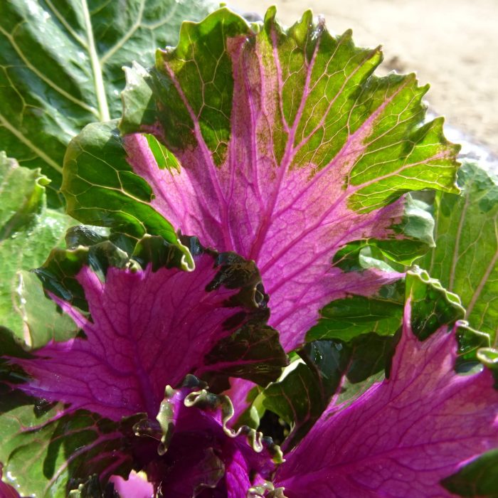 4b7c4afa-b638-4bce-9c25-759437f84fe8