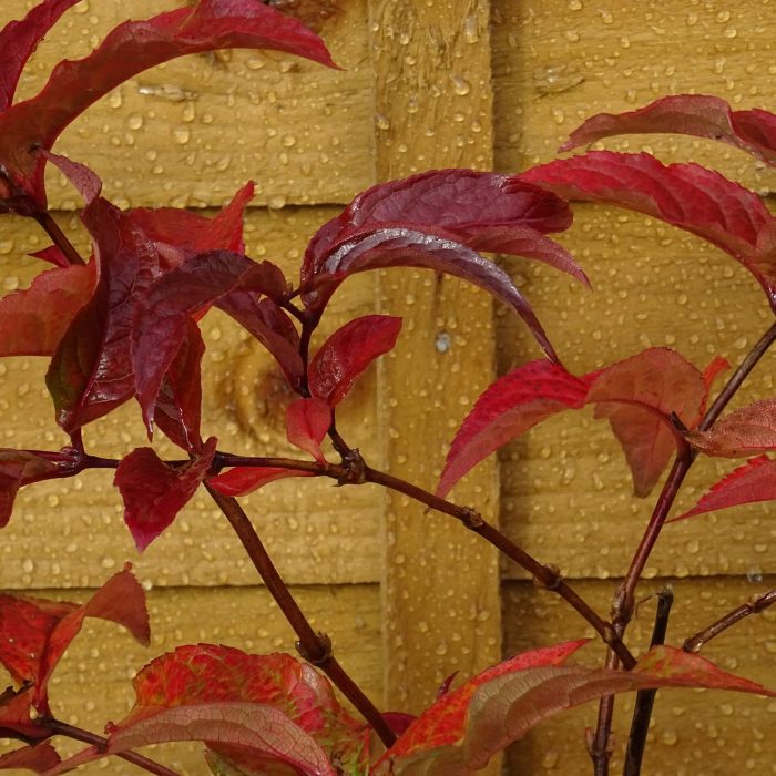 d42caa67-690d-4849-a83d-4a4e78003e13