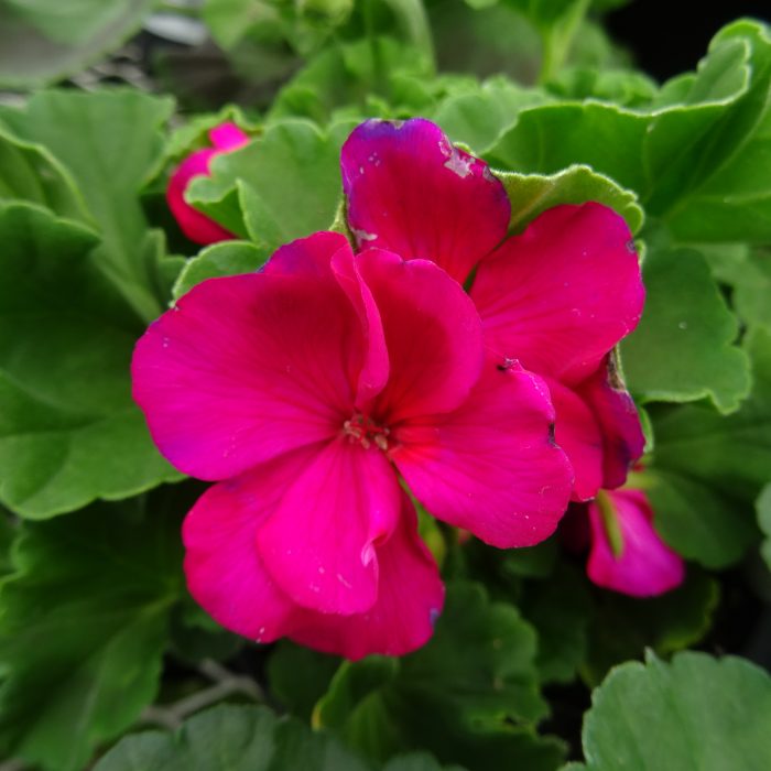 8e4cb062-8b4e-4b16-9bbf-f166895414a3