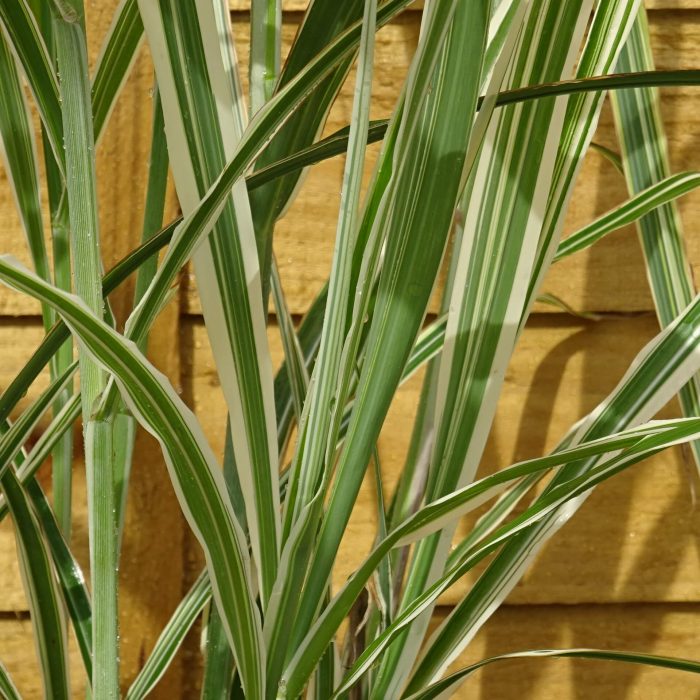 d09f4efd-d752-47b5-a4c8-9f5e847ccfbe