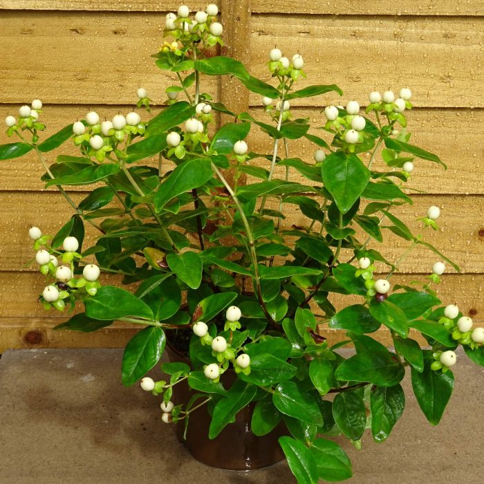 ea215e45-59ab-4d49-b0ee-2f565e2040ca