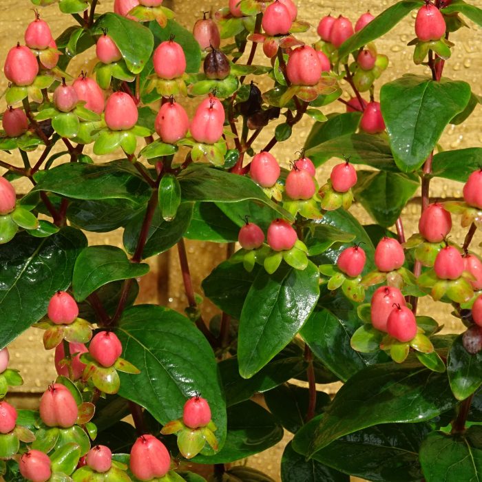 20da3524-5f5b-479f-9652-e29913e466e2