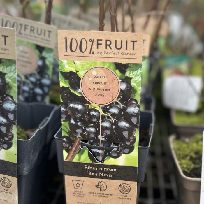 2e8096c82f5154ece56a98a01b908475.jpeg 152fed40-2db2-4229-9823-c32adba00f5f