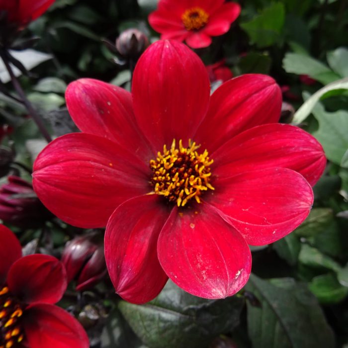 54fb789c-db80-437b-b919-92a2f4a6e3b7